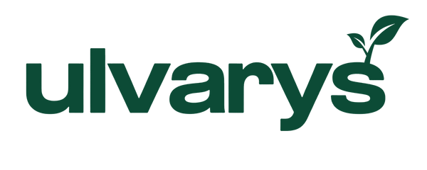 Ulvarys
